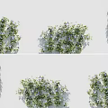Lush Green Vines With Purple Small Flowers Decorating White Wall Surfaces In Various Arrangements