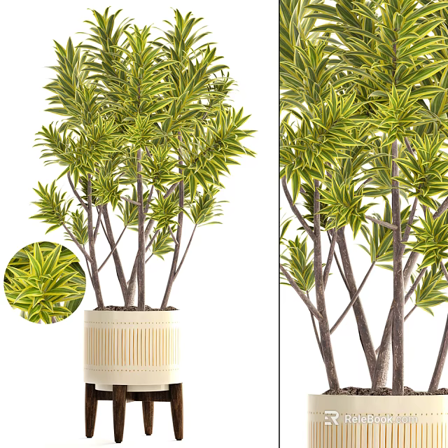 Decorative Potted Bonsai Plant With Yellow Green Variegated Leaves And White Ceramic Pot 3d model 