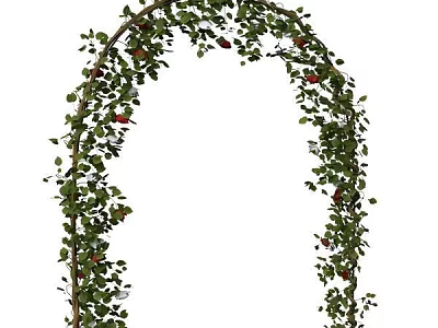 Elegant Vine Arch Decoration With Lush Green Leaves And Red Berries 3d model