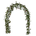 Elegant Vine Arch Decoration With Lush Green Leaves And Red Berries
