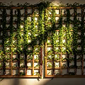 Green Vines Covering Wooden Trellis Wall With Natural Light And Lush Foliage