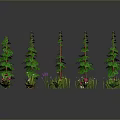Various Plants With Tall Pine Trees Low Plants Red White Flowers Mushrooms And Green Leaves