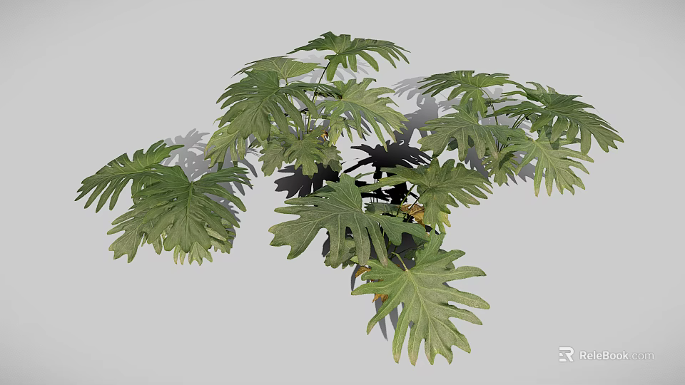 Lush Green Plant Featuring Split Broad Leaves And Vibrant Foliage Design 3d model 