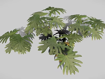 Lush Green Plant Featuring Split Broad Leaves And Vibrant Foliage Design 3d model