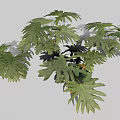 Lush Green Plant Featuring Split Broad Leaves And Vibrant Foliage Design 3d model