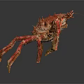 Red Spiky Aquatic Crab With Long Hairy Legs And Textured Shell
