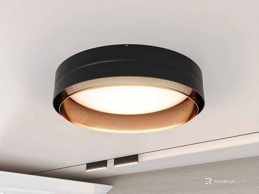 Modern Round Ceiling Light With Black Frame And White Illuminated Center 3d model 