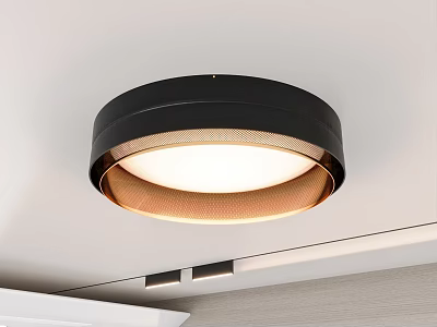 Modern Round Ceiling Light With Black Frame And White Illuminated Center 3d model