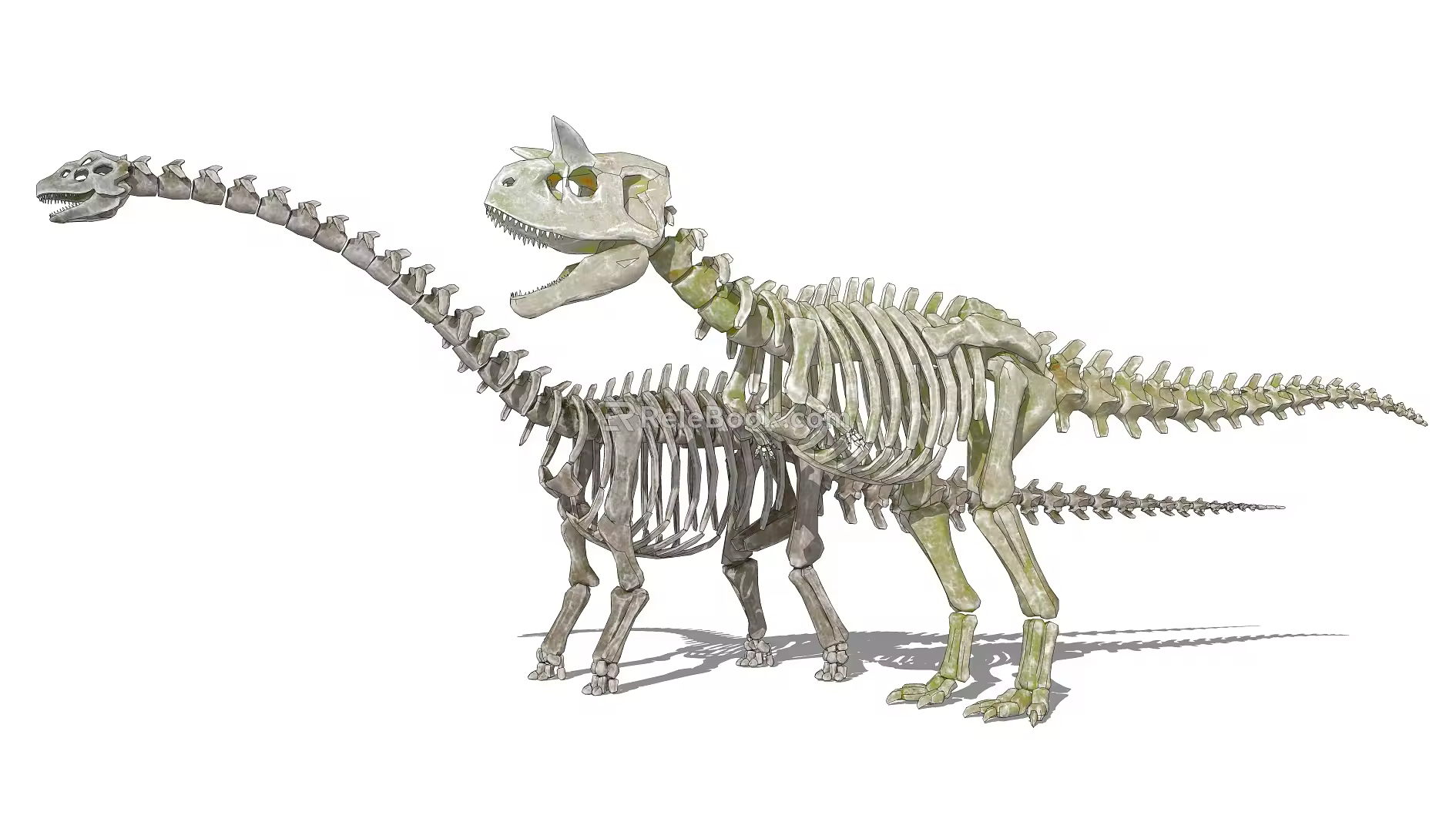 Modern Skeleton Dinosaur Skeleton 3d model