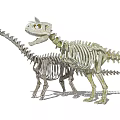Modern Skeleton Dinosaur Skeleton 3d model