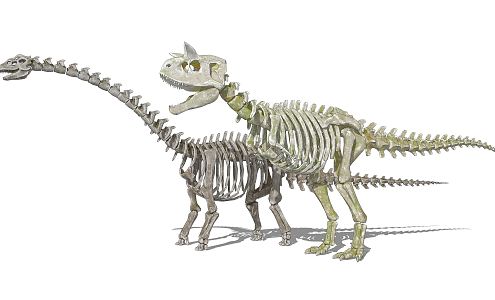 Modern Skeleton Dinosaur Skeleton 3d model