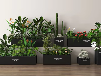 Stylish Indoor Potted Plants With Green Foliage Colorful Blooms And Cactus In Black Planters 3d model
