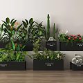 Stylish Indoor Potted Plants With Green Foliage Colorful Blooms And Cactus In Black Planters