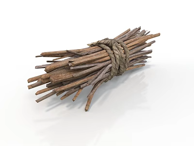 Bundle of Natural Dry Wooden Sticks Tied Securely With Thick Rope 3d model