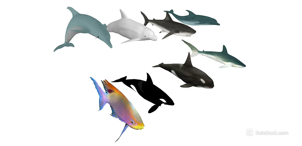 Diverse Aquatic Animals Including Dolphins Sharks Orcas and Colorful Tropical Fish 3d model 