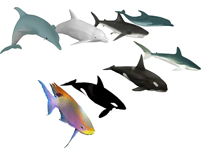 Diverse Aquatic Animals Including Dolphins Sharks Orcas and Colorful Tropical Fish 3d model