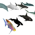 Diverse Aquatic Animals Including Dolphins Sharks Orcas and Colorful Tropical Fish
