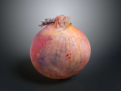 Fresh Vibrant Organic Onion With Pink Orange Purple Hues On Dark Surface 3d model