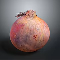 Fresh Vibrant Organic Onion With Pink Orange Purple Hues On Dark Surface