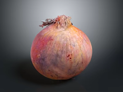 Onion Vegetables Fruits Vegetables Fruits Vegetables Fresh Fruits and Vegetables seasonal Fruits and Vegetables 3d model