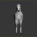 White Horse 3D Model With Realistic Body And Gray Mane