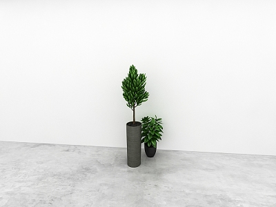 green plant model