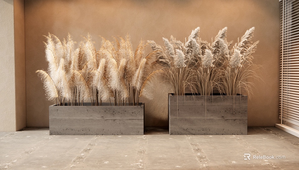 Pampas Grass in Concrete Planters Against Brown Wall and Gray Floor 3d model 