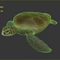 Brown Sea Turtle With Detailed Textured Shell And Lifelike Natural Appearance