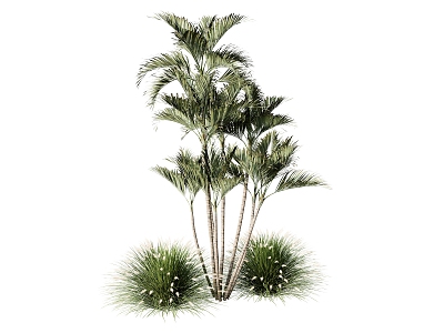 plant combination green plant trees oak palm tree 3d model