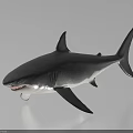 Realistic Aquatic Animal Shark Model Figure with Lifelike Features on White Background