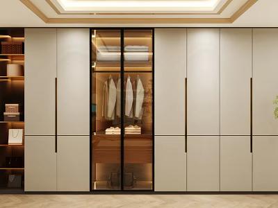 Modern Luxury Wardrobe With Glass Door And Efficient Storage Interior Design 3d model