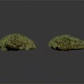 Four Green Grass Clumps with Irregular Shapes on White Background
