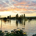 Lotus Sunset Dusk Lotus Lakeside Lakeside Wetland Park Lotus Pond Lotus Pond Fire Clouds 3d model