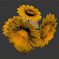 Terracotta Vase With Yellow And Orange Daisies On Black Surface With Dark Background Reflection
