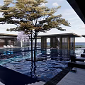 Modern Sales Office Building Featuring Wooden Roof Water Pool And Natural Light