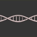 Modern DNA Helix Science 3d model