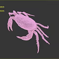 Close Up Of Crab Organs And Hair With Red Shell Claws And Legs