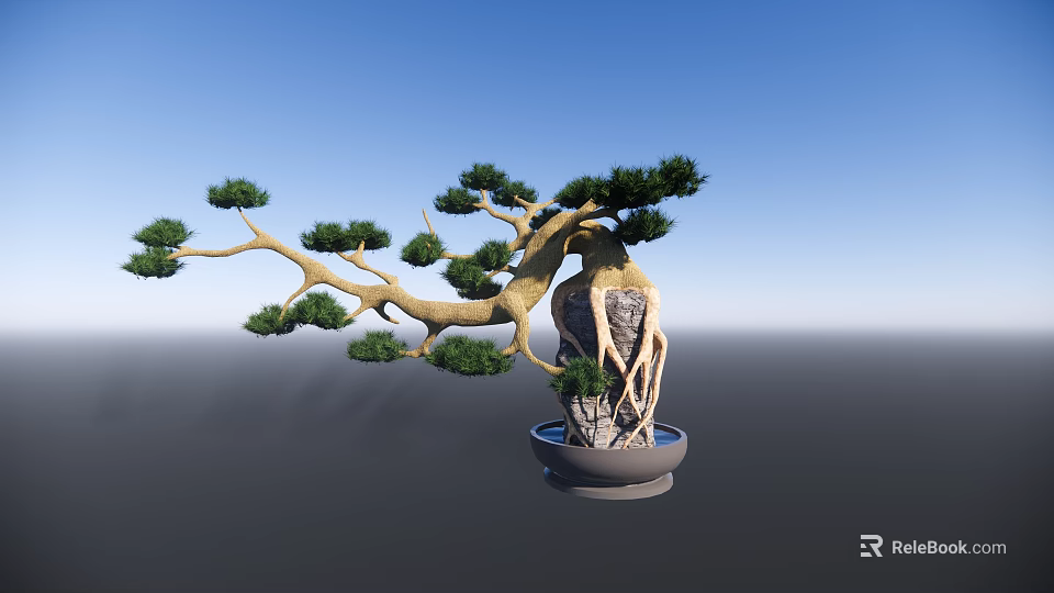Artistic Bonsai Pine Tree with Curved Trunk and Exposed Roots in Decorative Pot 3d model 