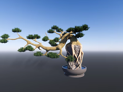 Artistic Bonsai Pine Tree with Curved Trunk and Exposed Roots in Decorative Pot 3d model