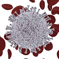 Detailed Scientific Visualization of Virus Structure Among Red Blood Cells