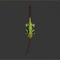 Green and Yellow Chameleon with Open Mouth Standing on Brown Branch and Black Background