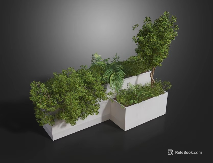 Potted Plants in White Rectangular Planters with Lush Green Foliage and Modern Design 3d model