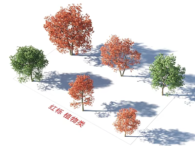 Red Oak Arbor With Green And Red Foliage In Landscape Plant Design 3d model