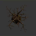 Unique Dead Tree with Twisted Trunk and Leafless Branches on Gray Background 3d model