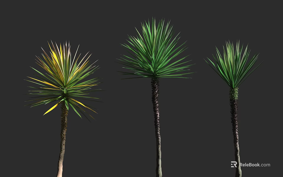Three Different Ornamental Shrubs With Green And Yellow Leaves Slender Trunks In Garden Setting 3d model 