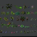 Diverse Collection of Decorative Potted Plants with Various Leaf Shapes and Flowers