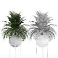 Lush Green Potted Plants With White Pots And Metal Stand For Indoor Decor