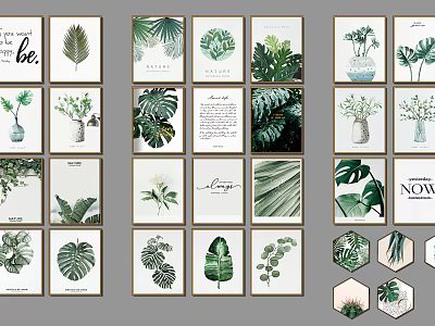 Botanical Plant Art Prints With Monstera Leaves Ferns And Potted Plants In Square Hexagonal Frames 3d model