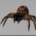 3D Spider With Brown And Orange Fur Eight Legs Black Eyes On Gray Background