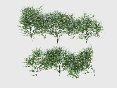 Modern plant vine flowers 3d model
